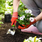 Tetanus_ Geschützt in die Gartensaison